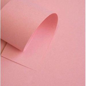 PAPEL COLOR PLUS A4 120G 50 FOLHAS FIDJI ROSA JOTAPEL