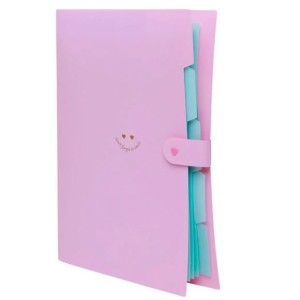 PASTA SANFONADA A4 5 DIVISÓRIAS ROSA PASTEL POLIBRAS